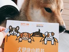 -艾贝尔宠物诊疗