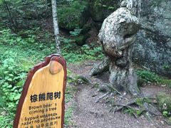 -汤旺河林海奇石景区