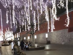 -大雁塔北广场音乐喷泉