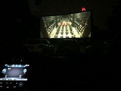 -枫花园汽车电影院(朝阳公园店)