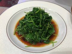 -白家餐厅(徐家汇店)