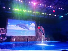 -华夏文旅海洋公园