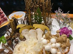 -手选潮汕鲜牛肉火锅(二七广场店)