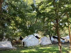 -长白岛森林公园