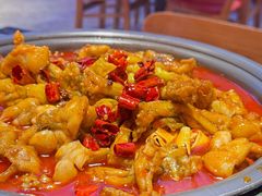 -美蛙四季(望京凯德茂店)