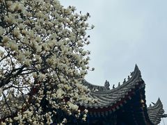 -西安市广仁寺
