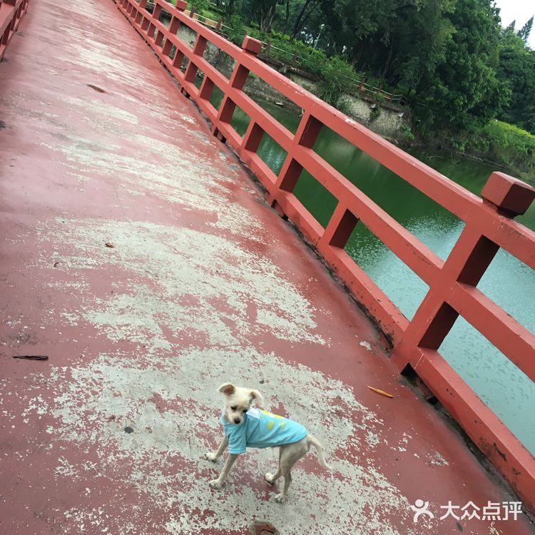 遛狗遛娃的好去处