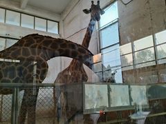 -石家庄市动物园