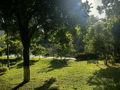 -东莞植物园