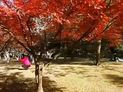 -金山公园