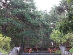 景点-美人松苑