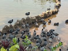 -海南热带野生动植物园