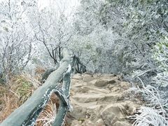 -梧桐山风景名胜区