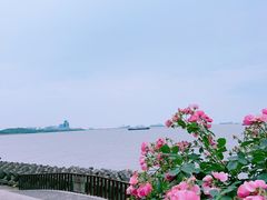 -上海滨江森林公园