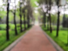 -洛阳市隋唐城遗址植物园