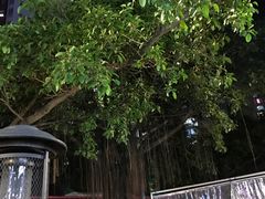 -木屋烧烤(白石洲店)