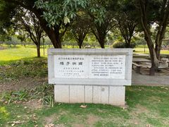 景点-橘子洲景区