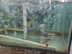 -天发长铁锅炖(王秀村店)