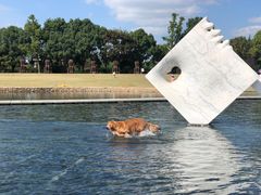 -上海月湖雕塑公园
