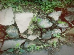 -北京鹫峰国家森林公园