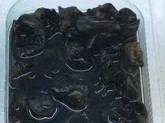 木耳-刁四藤椒麻辣烫(良村开发区店)