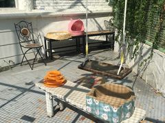 -有猫主题·治愈系猫咖(曾厝垵店)
