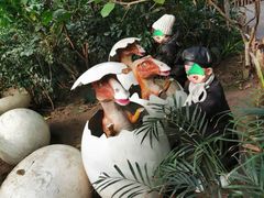-呀路古热带植物园