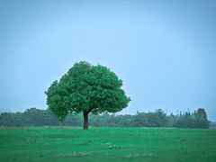 -无锡新湖铂尔曼大酒店