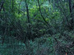 -剑门关风景区