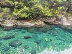 -石台牯牛降景区