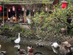 -青城甲(青城山店)
