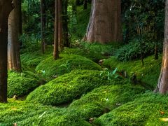 -成都市活水公园