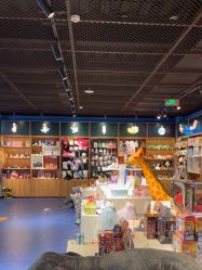 -飞览天下沉浸式飞行体验(北京旗舰店)