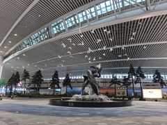 -青岛胶东国际机场