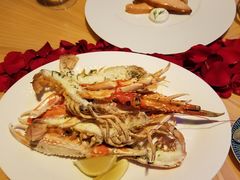 -迪拜帆船酒店海底餐厅