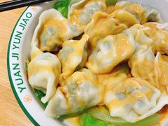 荠菜鲜肉饺-袁记云饺(蛇口店)