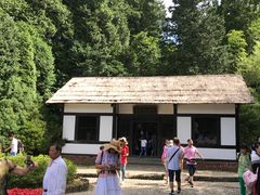 -庐山风景区花径公园