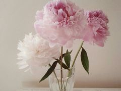 -红菇坊鲜汤火锅(北站店)