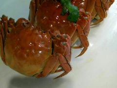 固城湖大闸蟹-金陵精菜馆
