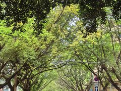 -山东水饺(南坪新街店)