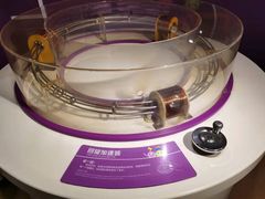 -陕西科学技术馆