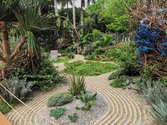 -深圳仙湖植物园