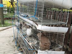 -洪湖家庭农场·团建·露营·会议
