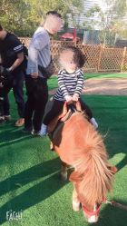 -萌宠亲子动物乐园(槐房万达店)