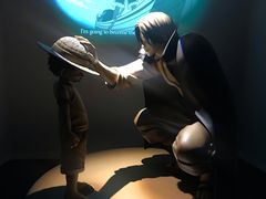 -东京塔海贼王主题公园
