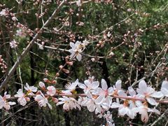 -临潼印象·特色陕菜