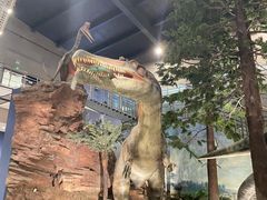 -湖南省地质博物馆