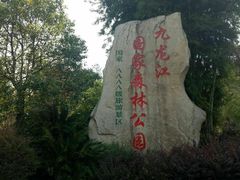 -九龙江国家森林公园