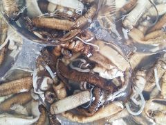 -铭聚章鱼土笋冻(松柏店)