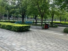-大望京公园